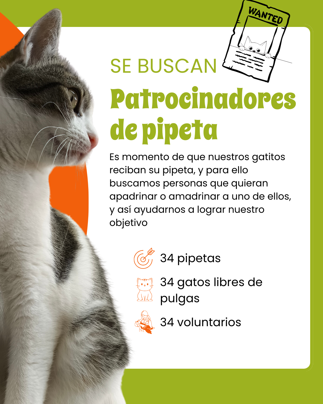 Campaña para las pipetas